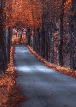 湖泊山水风景高清手机壁纸