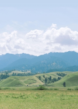 小清新自然景物高清手机壁纸