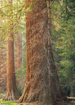 大自然风景摄影高清手机壁纸