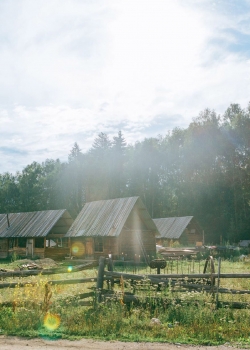 清新护眼的田园风光高清手机壁纸