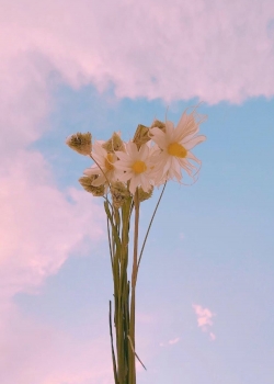 唯美天空风景高清手机壁纸