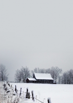 唯美纯白雪景图片高清手机壁纸