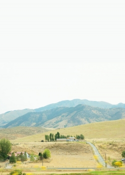 草原自然风光高清手机壁纸