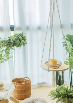 清新文艺家居静物图片高清手机壁纸