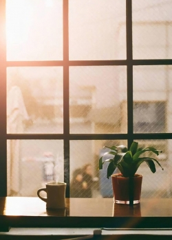 清新治愈系唯美图片高清手机壁纸