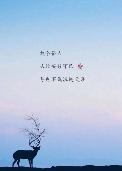 小清新伤感文字简约高清手机壁纸