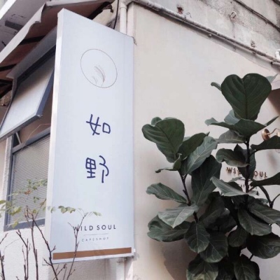 林知意/背景图/我预谋在某个阳光明媚的地方遇见你