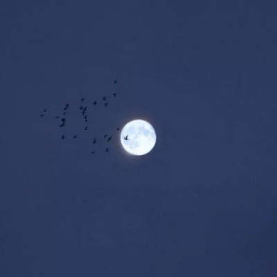 唯美蓝色风景线 戎马一生