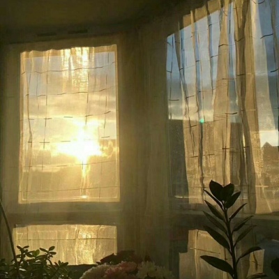 〈陈情〉唯美海边背景图，坠落星空