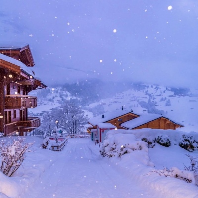 千鹤/唯美雪景/寒來暑往 秋收冬藏