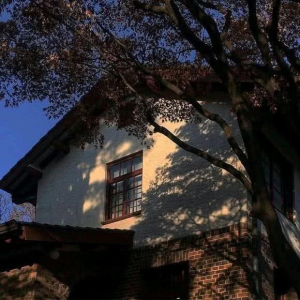 “像鲸沉入海底般拥抱你”