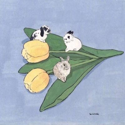 背景图/壁纸    文艺 鲜花 兔子 简约