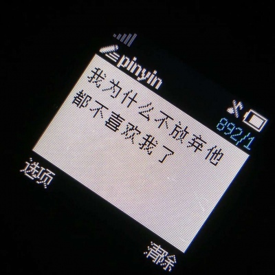 千鹤/诺基亚/我已经很久没有见到我想见的人了