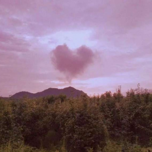 江桥//优质背景图。