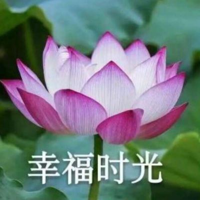 ［温柔词?］一群用吗，沙雕闺蜜组