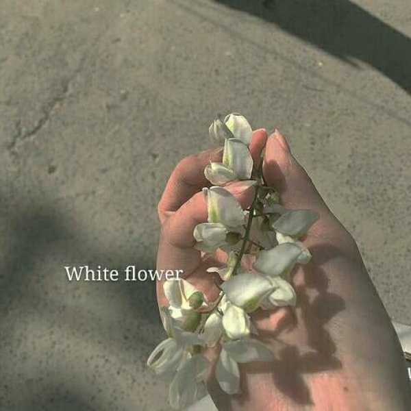 背景//对你的思念都寄托给月亮?。