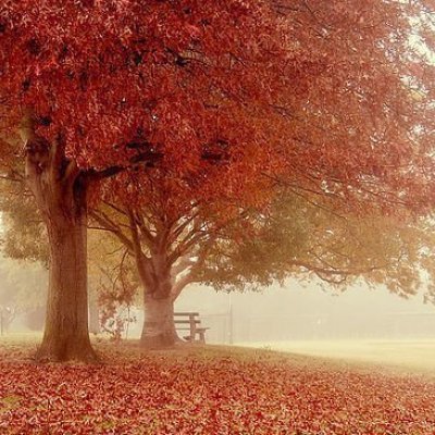 不一样的风景，是否能给你带来快乐？