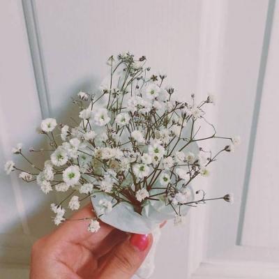 花开花落、谁许谁天长地久