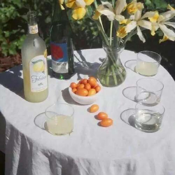 唯美风景静物背景（超仙 绿色意境）