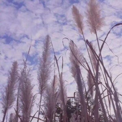 恬恬/唯美意境天空海岸背景/少女的征途是星辰大海♡