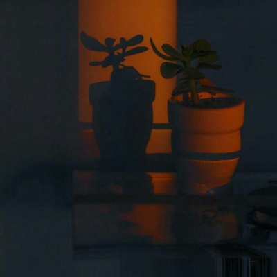 莫稚♡ 别来无恙