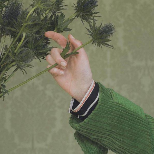 戾衹：风景静物背景图