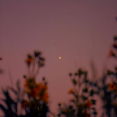 冷澈/黄昏独自愁/黄昏背景图/dt