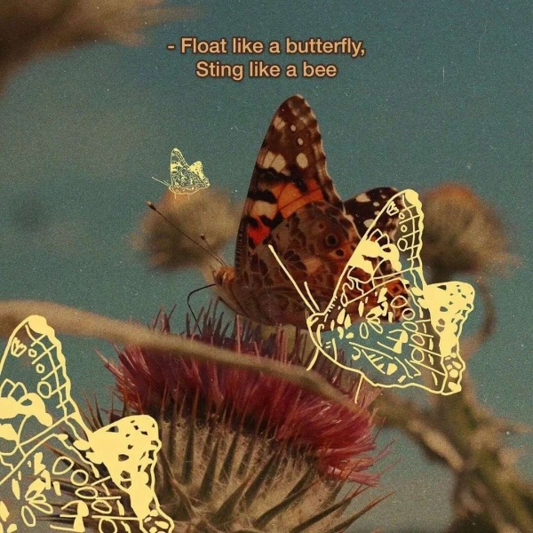 胶片风微信背景图/酥酥