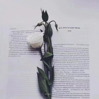 沈川/简约系背景图集/我最喜欢你了