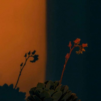 唯美风景美图（傍晚 夜景 意境 背景）