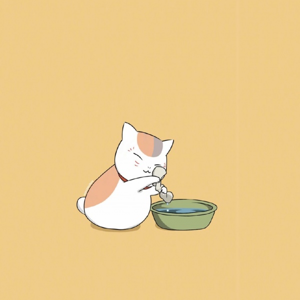 白灏宇:风景静物头像/猫咪/动漫/     你总是能成为我热爱生活的原因 ​​​