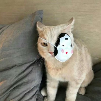 我是你惹不起的 风景静物