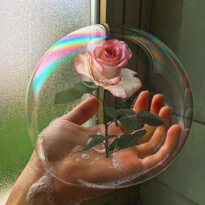 美丽的东西总是易碎易消逝但是我对你的爱不会Ins: Jeewon Park © ​​​