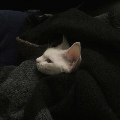 暗色系风景头像 暗  一个人孤独到极致会是什么样子  沈俞讪