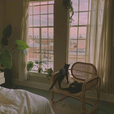 唯美ins风    七月有风  八月有雨  九月有你  沈俞讪