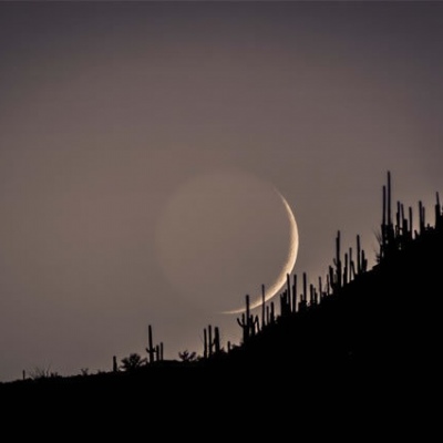 沫兮/自然景物/像我这么冲动的人就应该被狠狠的被打一笔钱冷静一下.