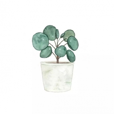 小清新简约风头像 背景图片呀