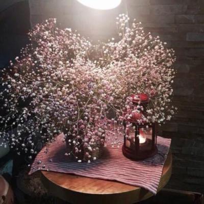 好想拥有一束这样的花