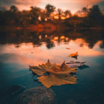 唯美意境/黄昏/大海/背景图/水逆退散 点赞接收好运