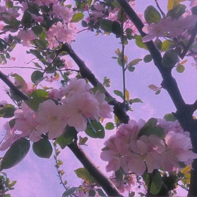 允言/唯美背景/美好的东西总是值得等待