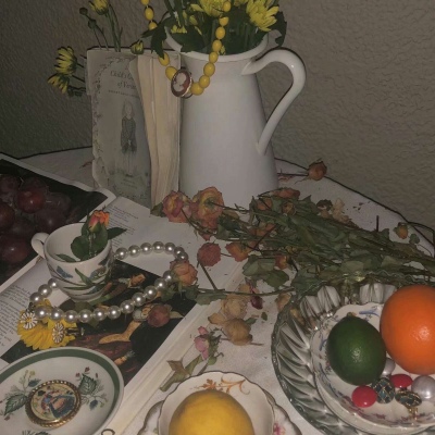 白灏宇:风景静物头像/花朵/唯美