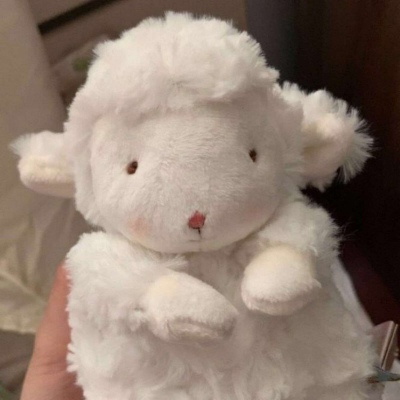 沈言/可爱玩偶背景图/世界就像一个巨大的娃娃机隔着玻璃窗我只要你