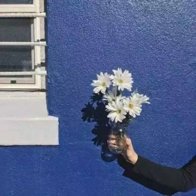 莫小昕。蓝色系背景图