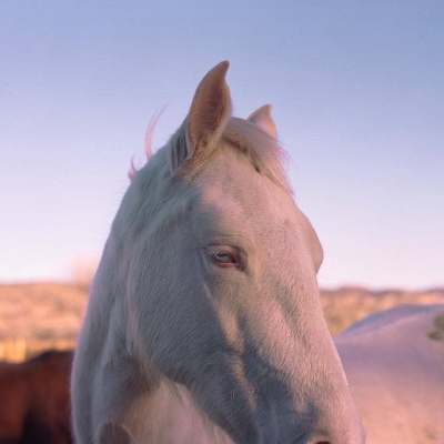 西部风景 | graysonvaughan ​