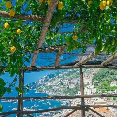 顾浔/柠檬夏日背景图：这种清爽的感觉 也就比西瓜差一点