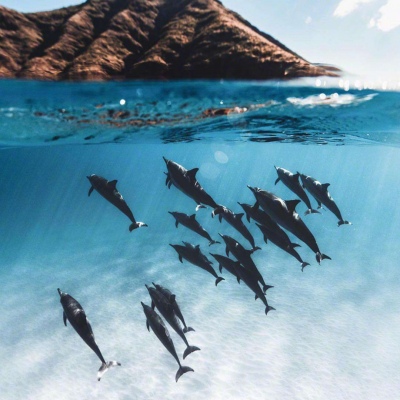 大海/背景图/接下来 好运会与你不期而遇