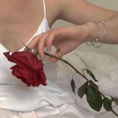 玫瑰背景图 若是你心怀旧梦，就别再无疾而终