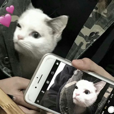 辞酒#唯美壁纸图