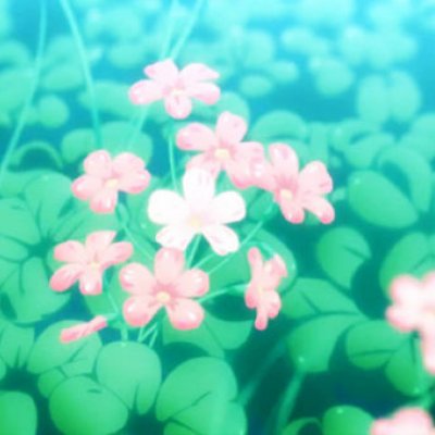 花朵：今天依然要开心