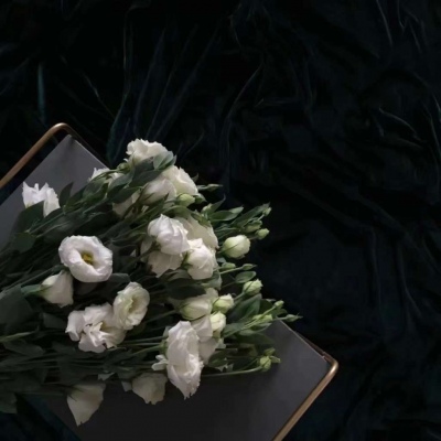 高清背景图 后来我很后悔向某些人坦诚过心扉